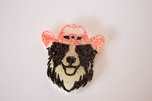 Cowgirl Collie Leather and Lace